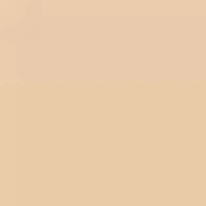 Parure Gold Skin Control fond de teint compact haute perfection mat
