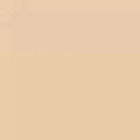 Parure Gold Skin Control fond de teint compact haute perfection mat