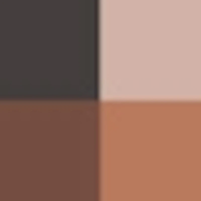 Ombres G à paupières 4 couleurs