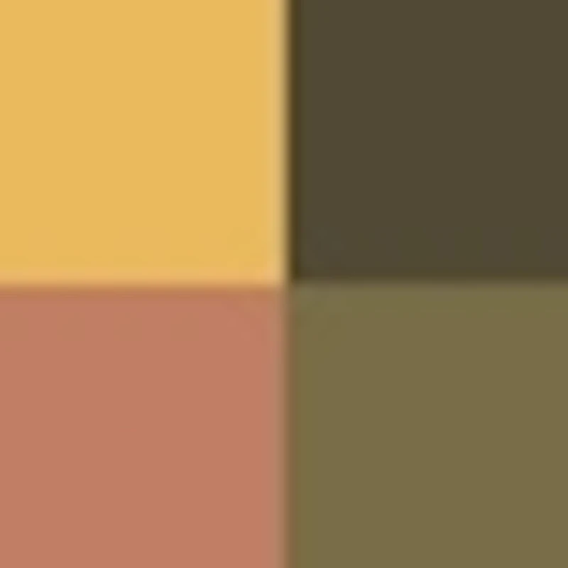 Ombres G Eyeshadow quad