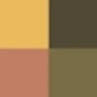 Ombres G Eyeshadow quad