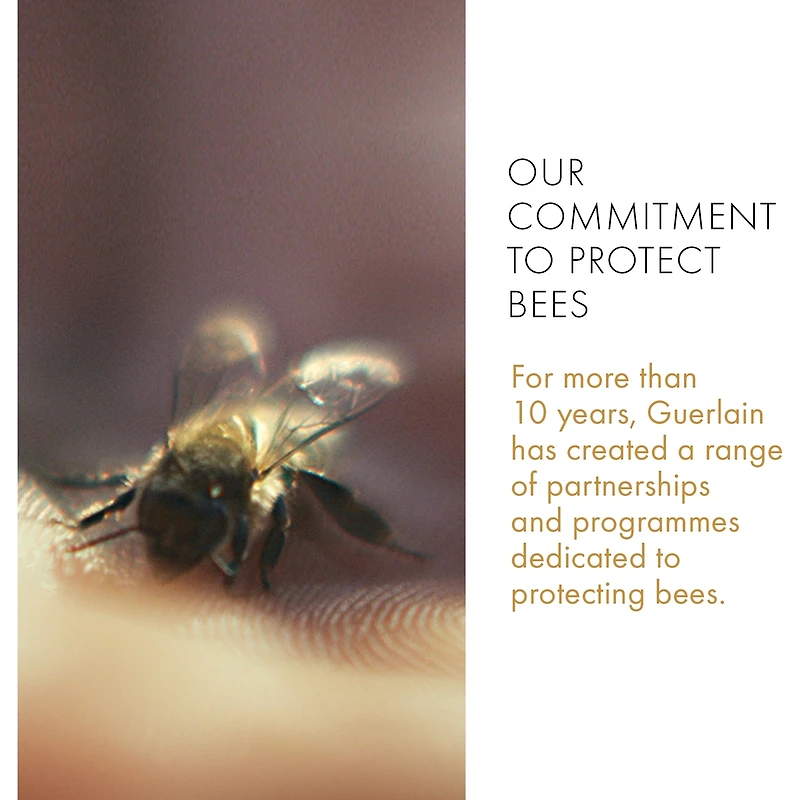 Abeille Royale Honey Cataplasm Mask