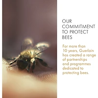Abeille Royale Honey Cataplasm Mask