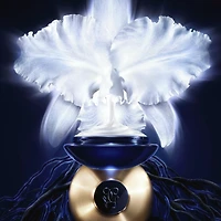 Orchidée Impériale
La Crème - Recharge