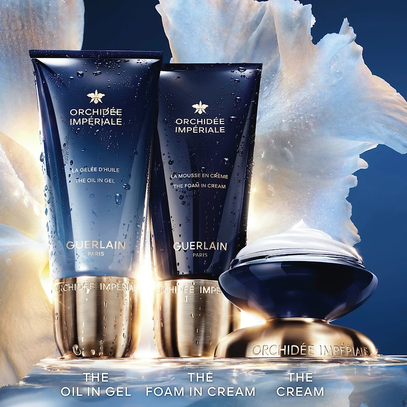 Orchidée Impériale La Mousse En Crème