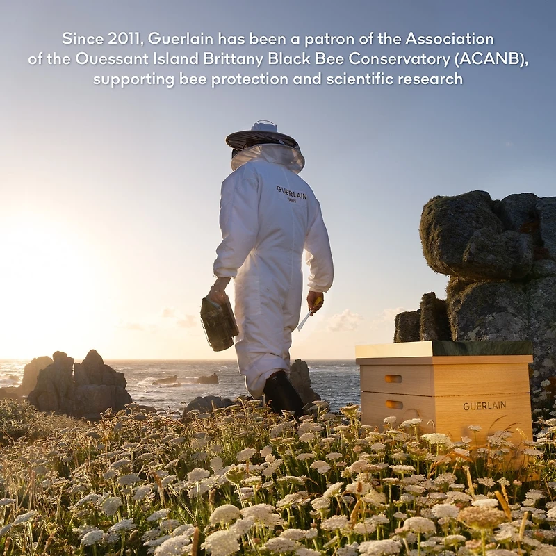 Abeille Royale Age-Defying Discovery Programme