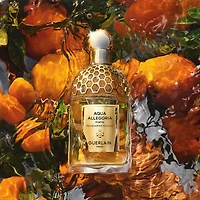 Aqua Allegoria Forte Mandarine Basilic - Coffret Eau de Parfum
