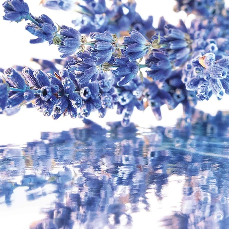 Mon Guerlain - Eau de Parfum Gift Set