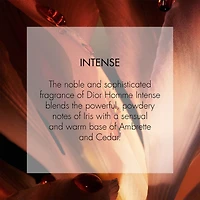 Dior Homme Intense Eau de Parfum