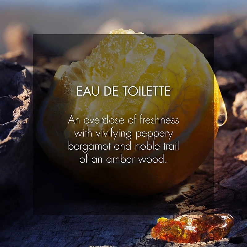 Sauvage
eau de toilette