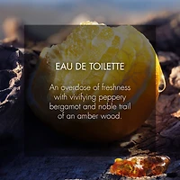 Sauvage
eau de toilette