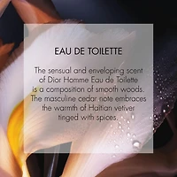 Dior Homme Eau de Toilette