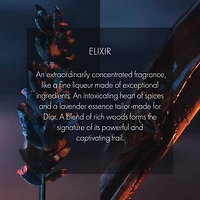 Sauvage Elixir