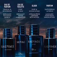 Sauvage Elixir