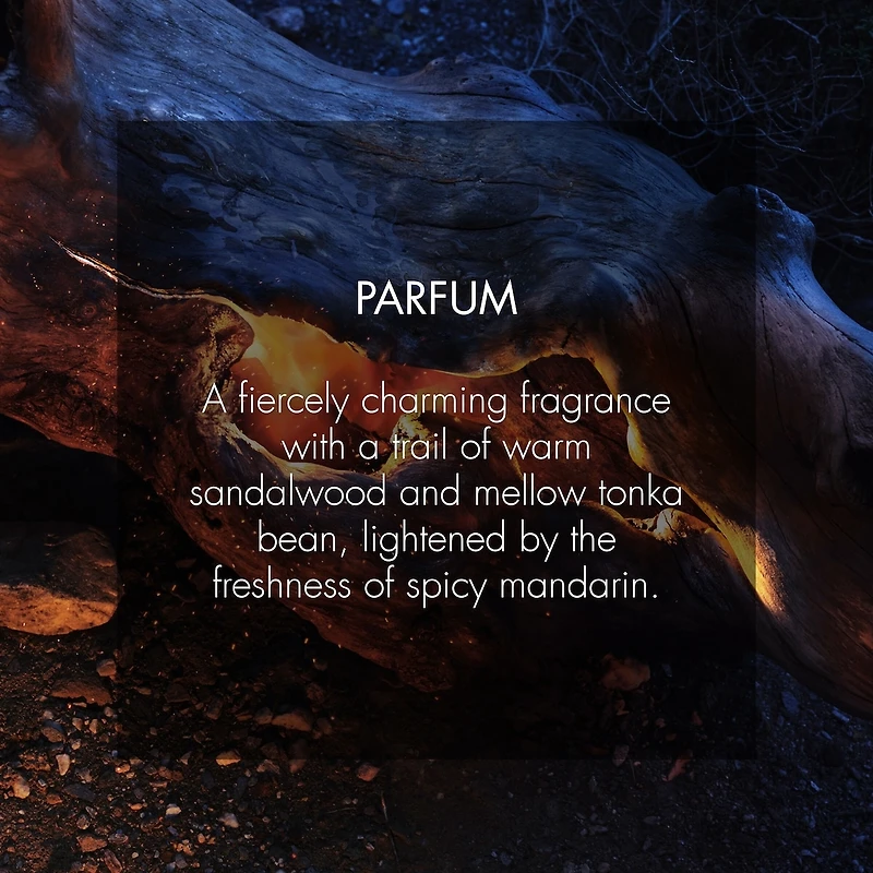 Sauvage Parfum Recharge