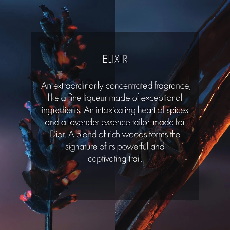 Sauvage Elixir