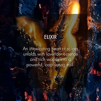 Sauvage Elixir
