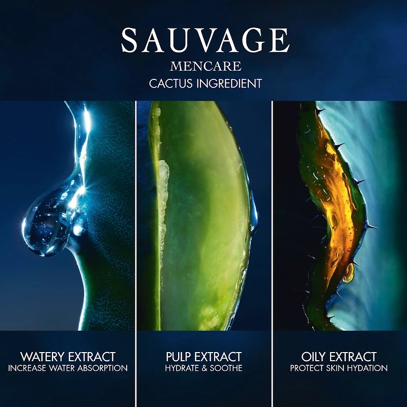 Sauvage Skincare Ritual Set