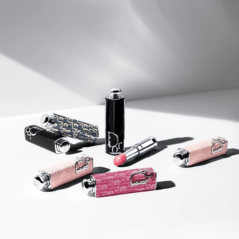 Dior Addict - Limited Edition Shine Lipstick Couture Case Refillable