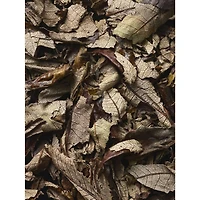 Déodorant en bâton Polo Black