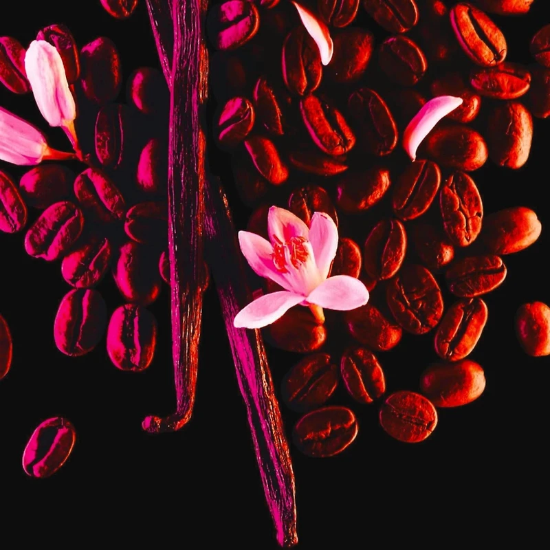Black Opium Eau De Parfum