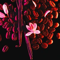 Black Opium Eau De Parfum