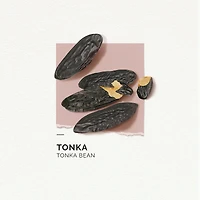 Eau De Parfum Tonka
