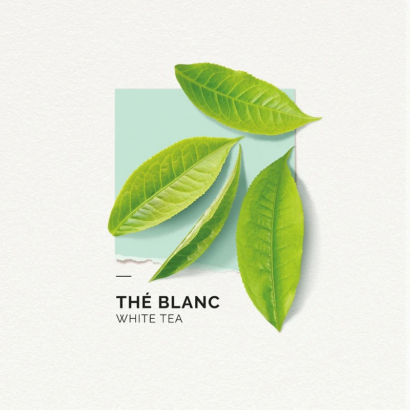 Eau De Parfum The Blanc