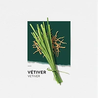 Solinotes Vetiver Eau de Parfum 50ml