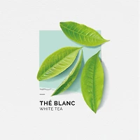 Solinotes 2 Pieces Gift Set - White Tea