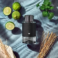 Explorer Eau de Parfum Spray