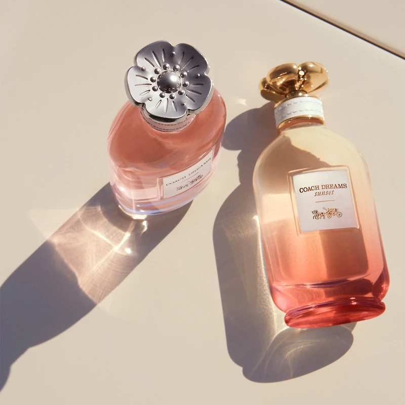 Coach Dreams Sunset