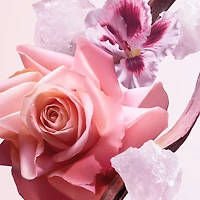 all of me scented hair mist