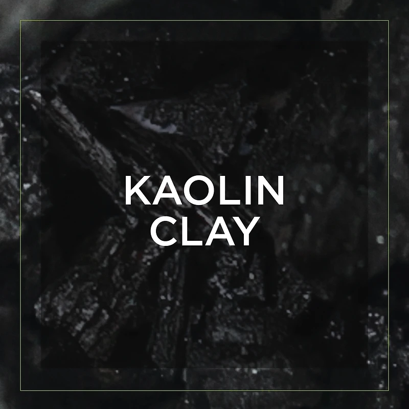 Pure Charcoal Purifying Mask with Koalin Clay