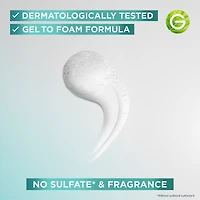 Salicylic Acid Purifying Gentle Cleanser 250ml