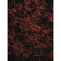 Polo Red Eau de Toilette, Fragrance Terreuse et Boisée pour homme