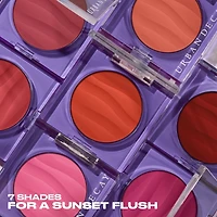 Face Bond Blush Suede Powder