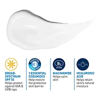 AM Face Moisturizer SPF 50, Daily Lotion with UVA+UVB Protection