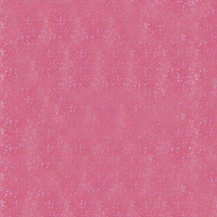 Stay Glossy 3D Lipgloss