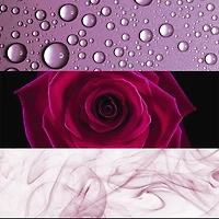 Deep Euphoria Eau de Parfum for Women