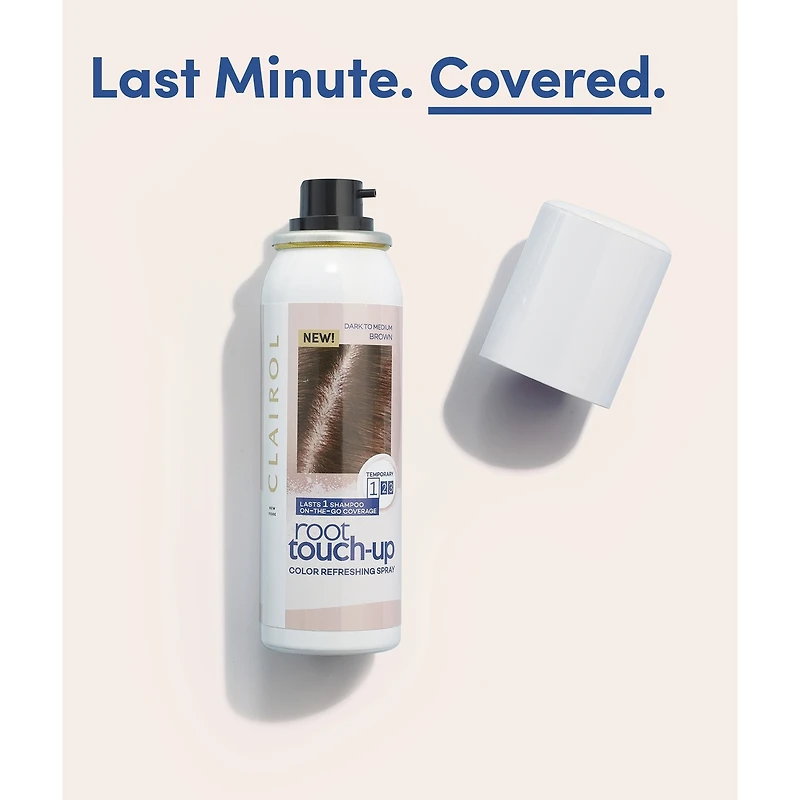 Vaporisateur temporaire Root Touch-Up