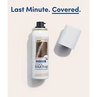 Root Touch-Up Temporary Spray