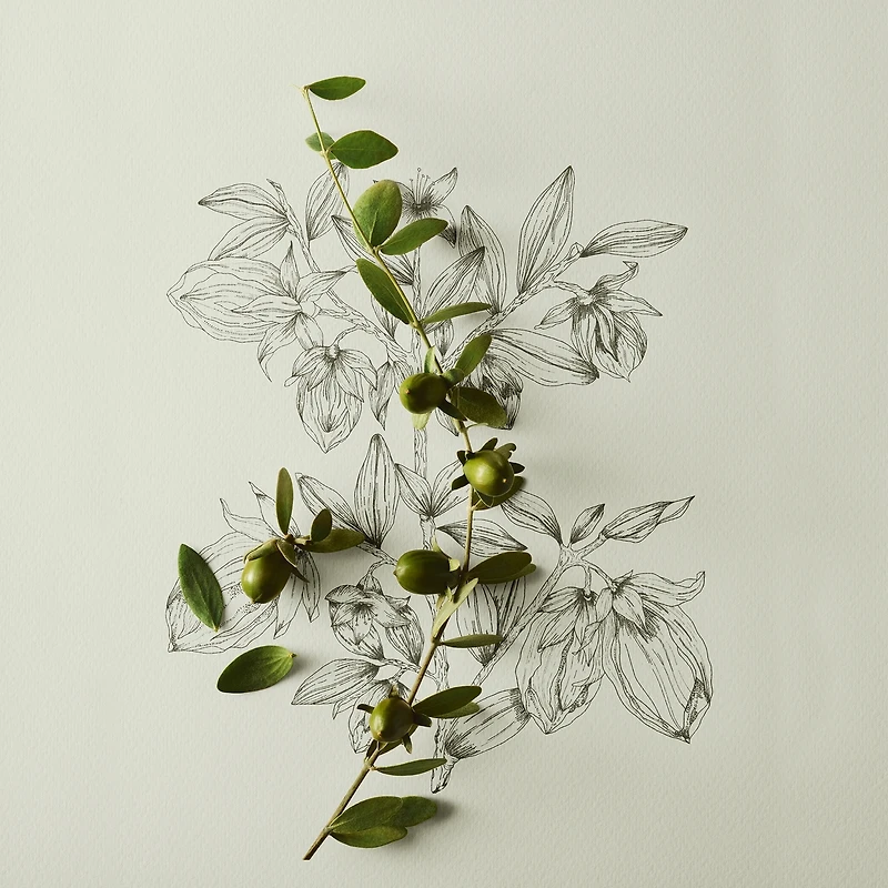 exfoliant chauffant doux au jojoba nature in a jar
