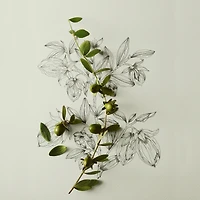 exfoliant chauffant doux au jojoba nature in a jar