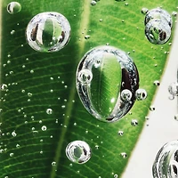 Concentré pour les yeux Pure Shots Eye Reboot