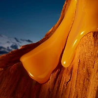 The Most Wanted Eau de Parfum Intense Deodorant Stick