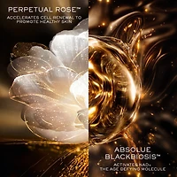 Refill for Absolue L'Extrait Elixir Anti-Ageing Serum