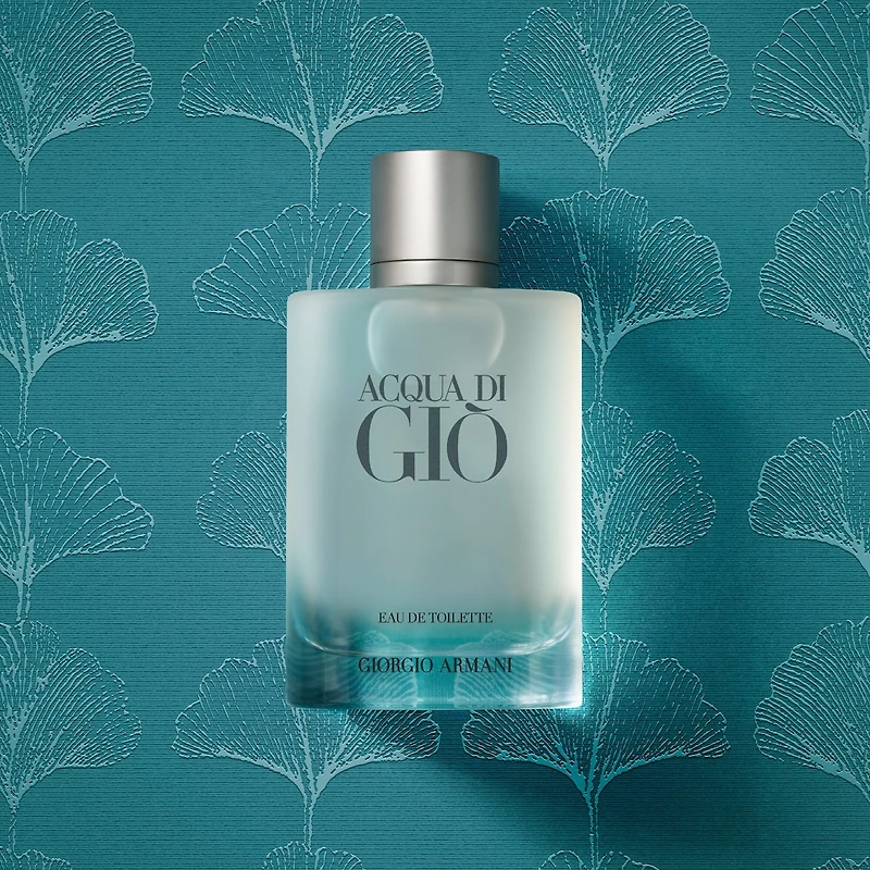 Acqua Di Giò Eau de Toilette Gift Set