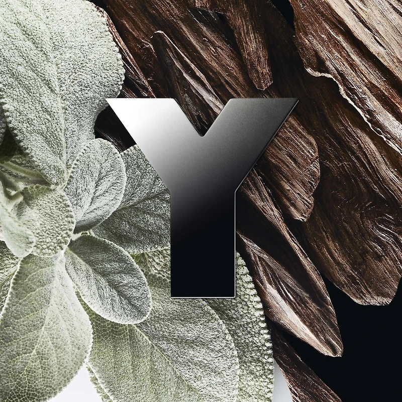 Coffret Y Eau de Parfum Duo & gel douche