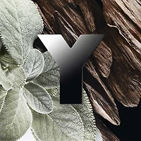 Coffret Y Eau de Parfum Duo & gel douche